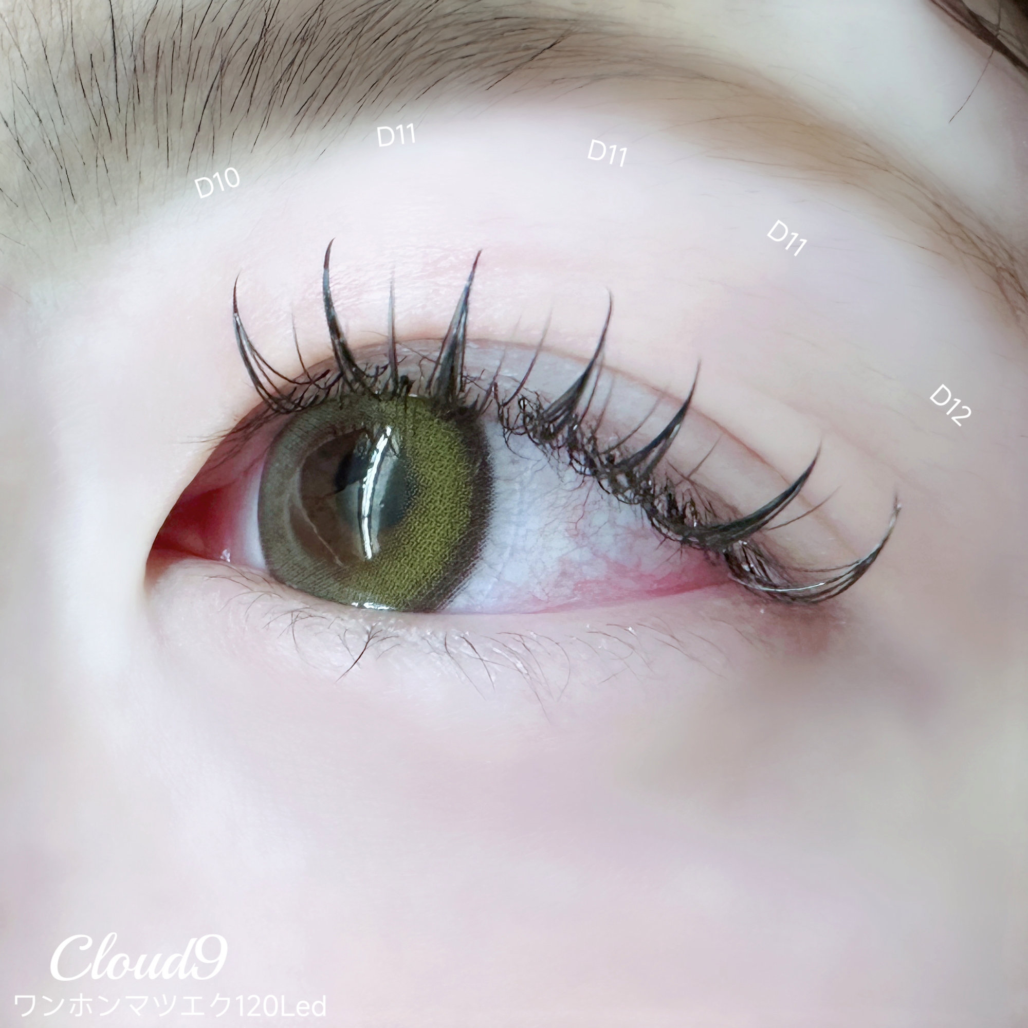 EyelashCloud9