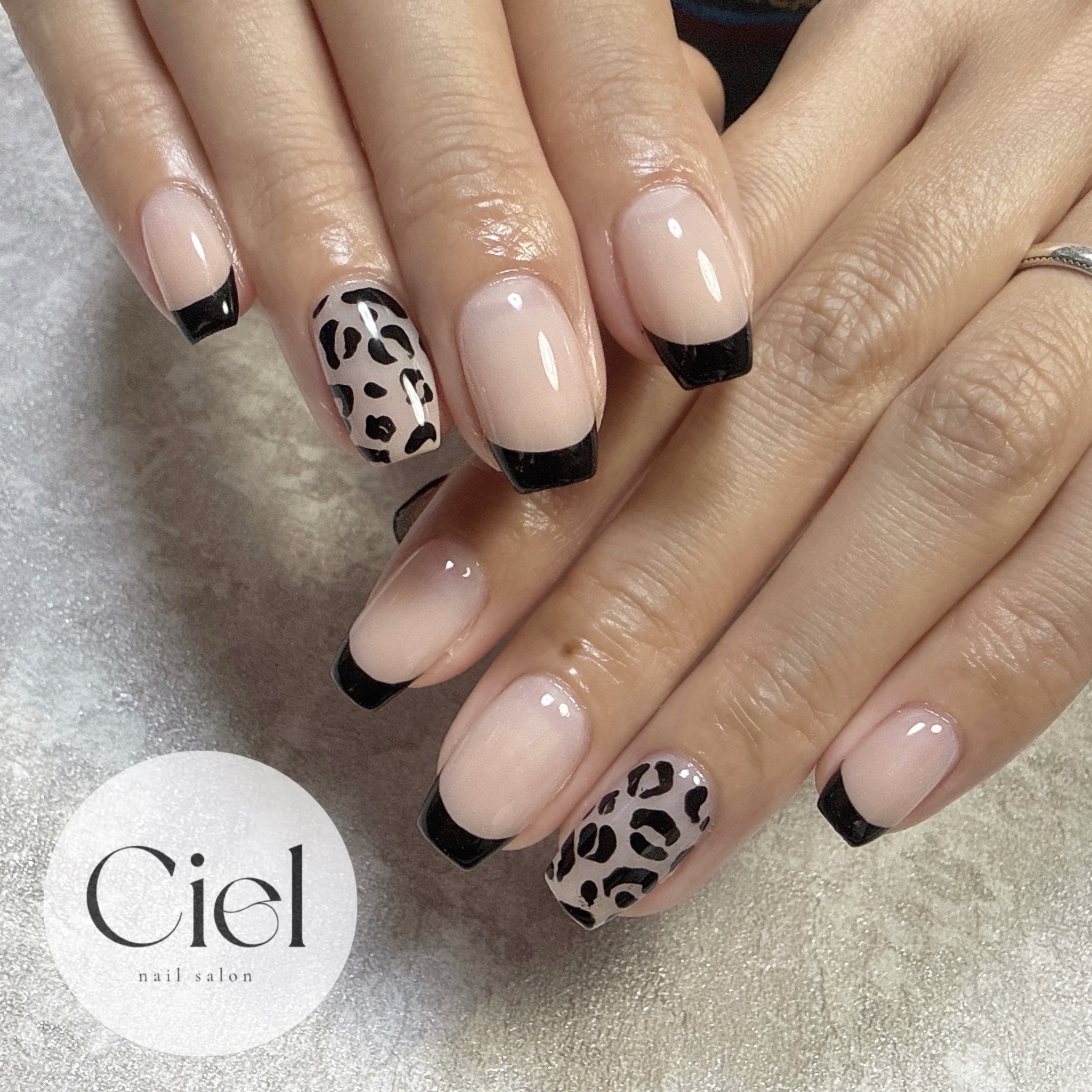 Ciel530