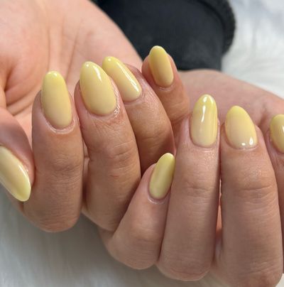 シンプルコース(ワンカラー)