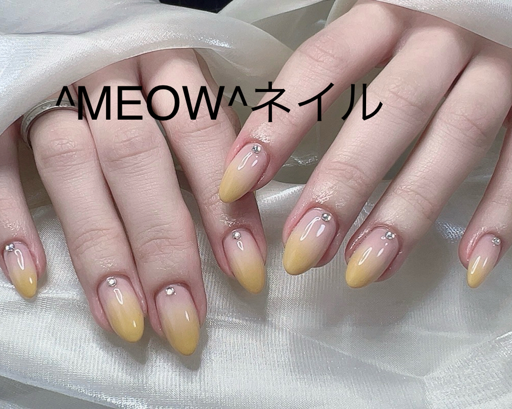 MEOW_salon
