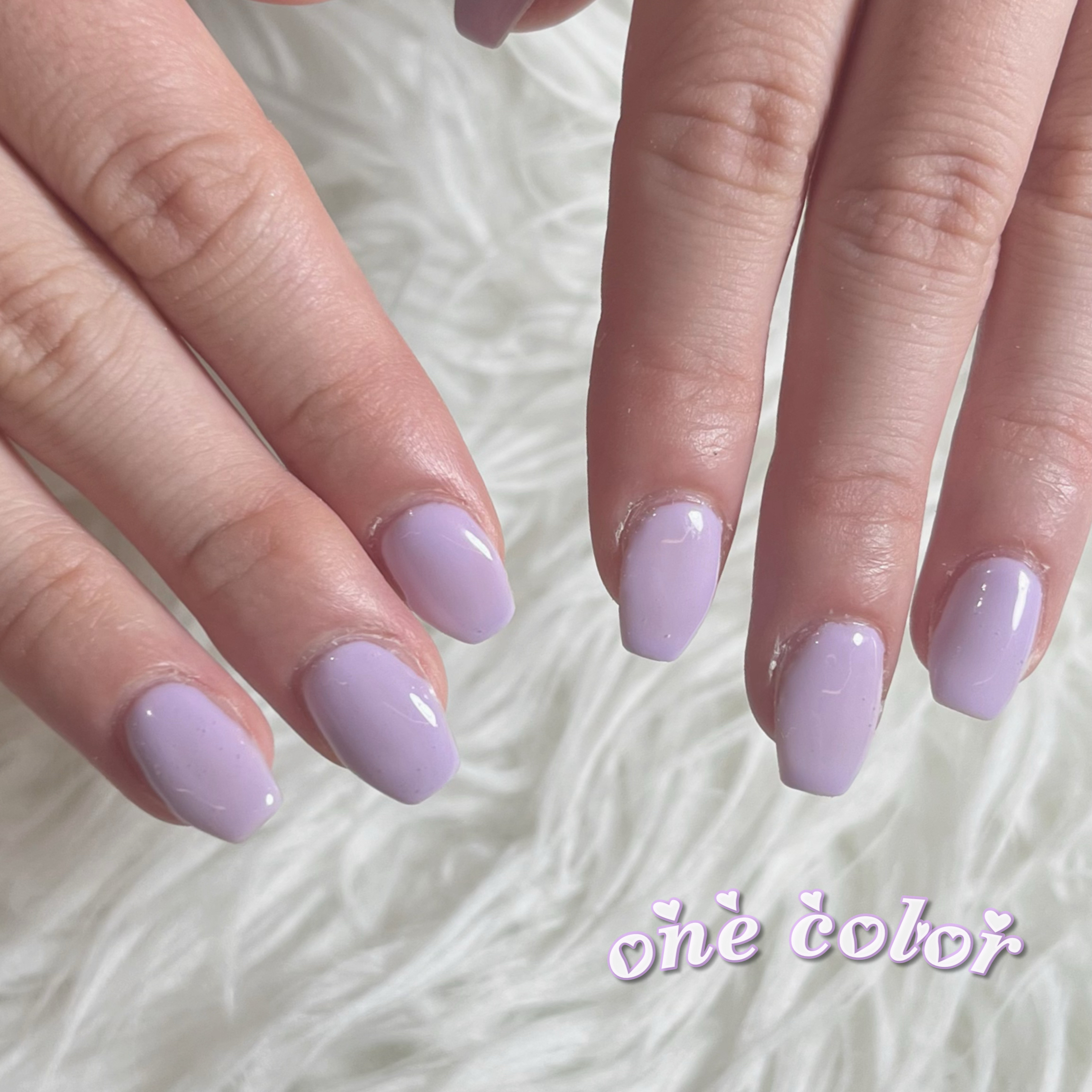LAVISH.saki