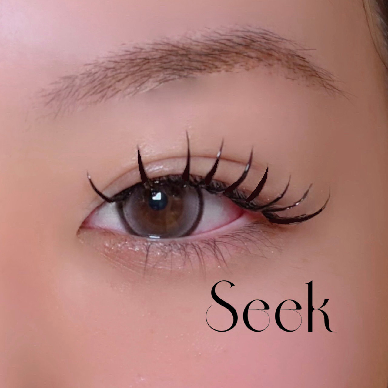 seek._maha