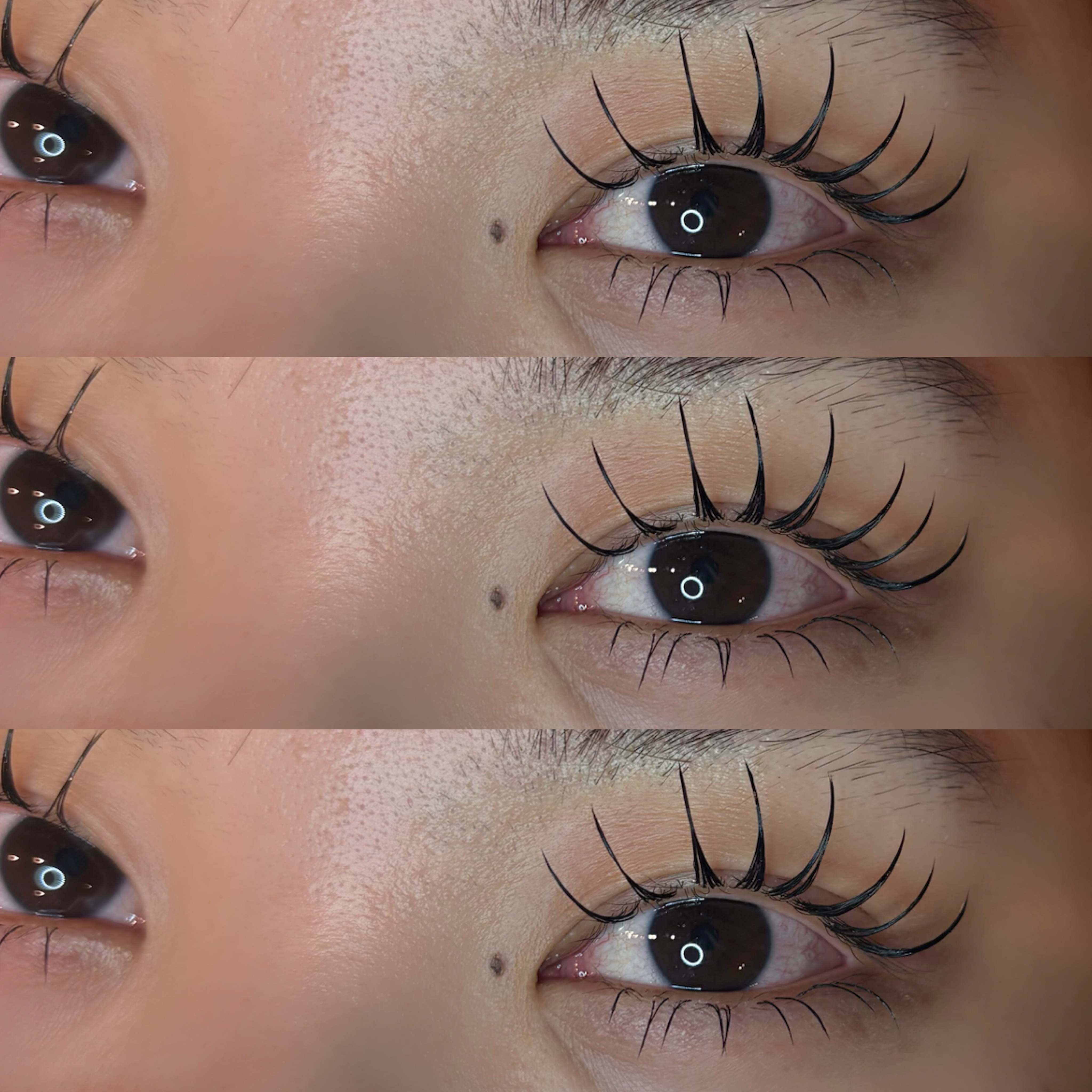 eyelist._.tanaka