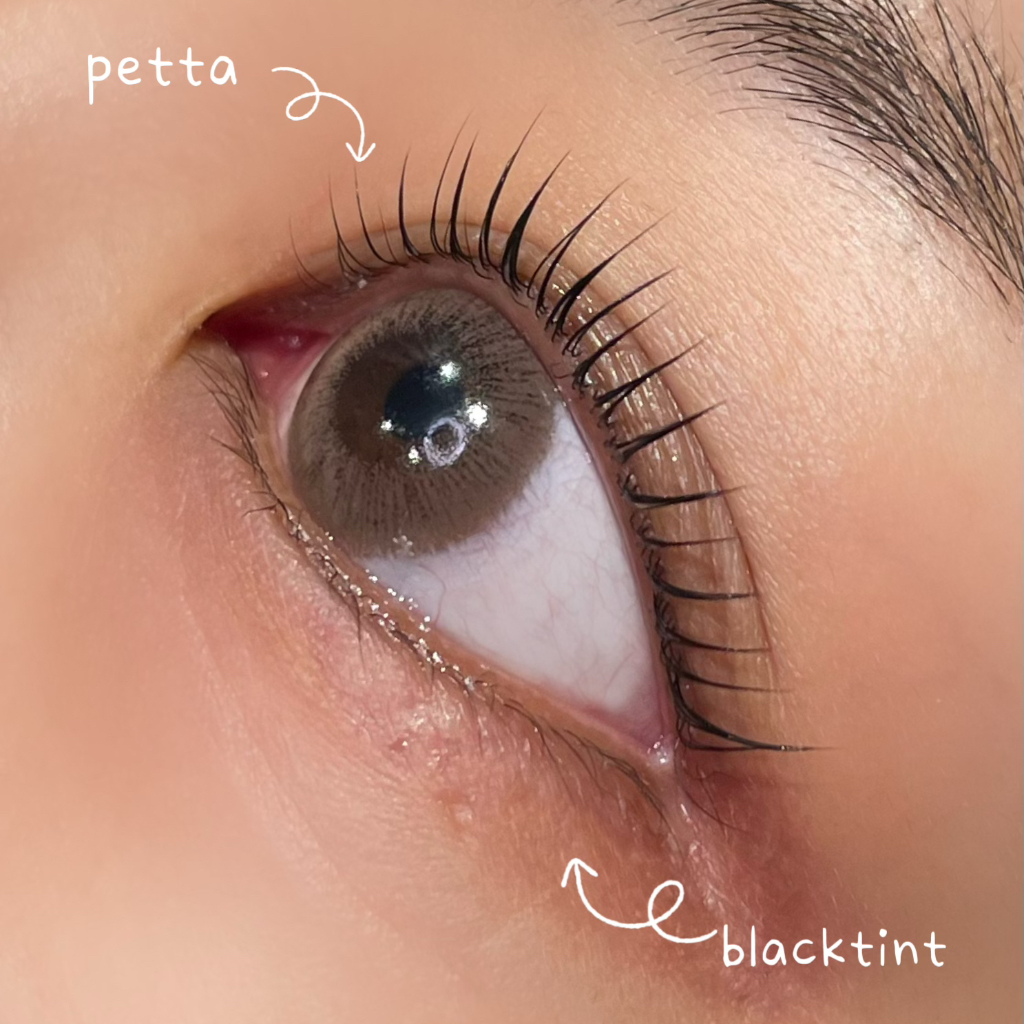 Voir.eyesalon