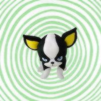 9xkitty