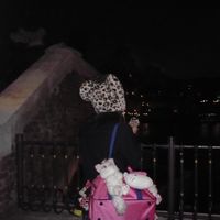 huayicunso738