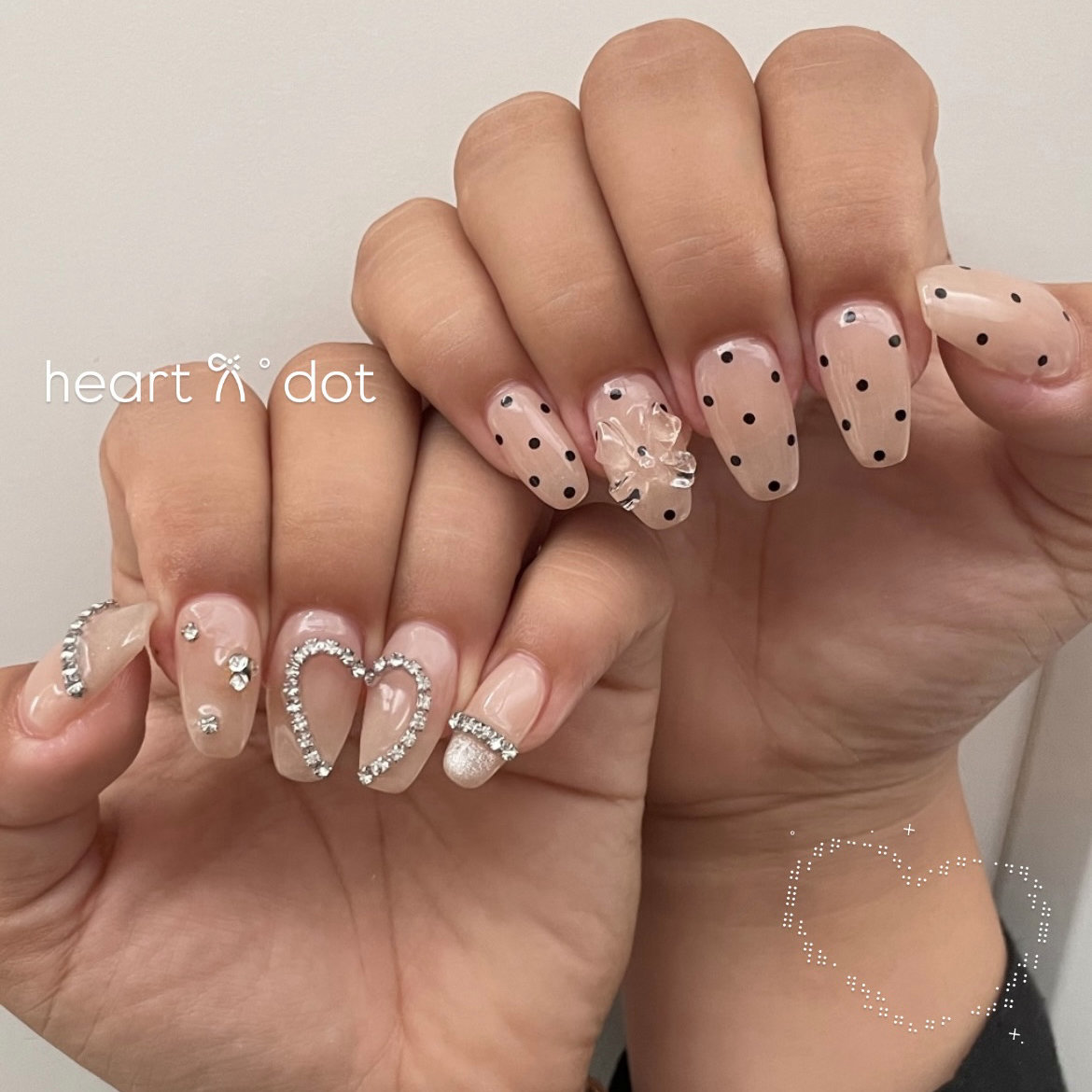 Lily____.n
