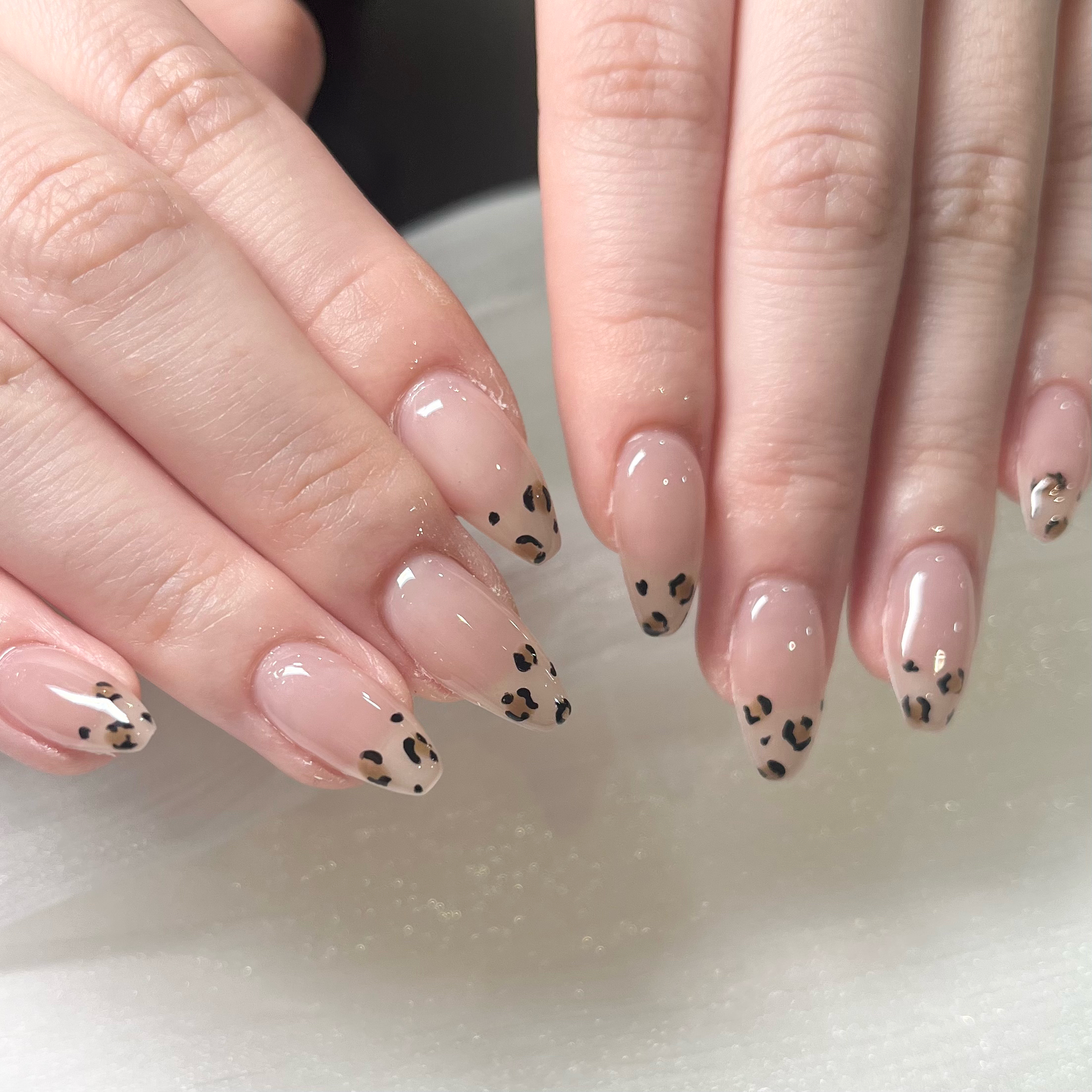 ai_cocogirls