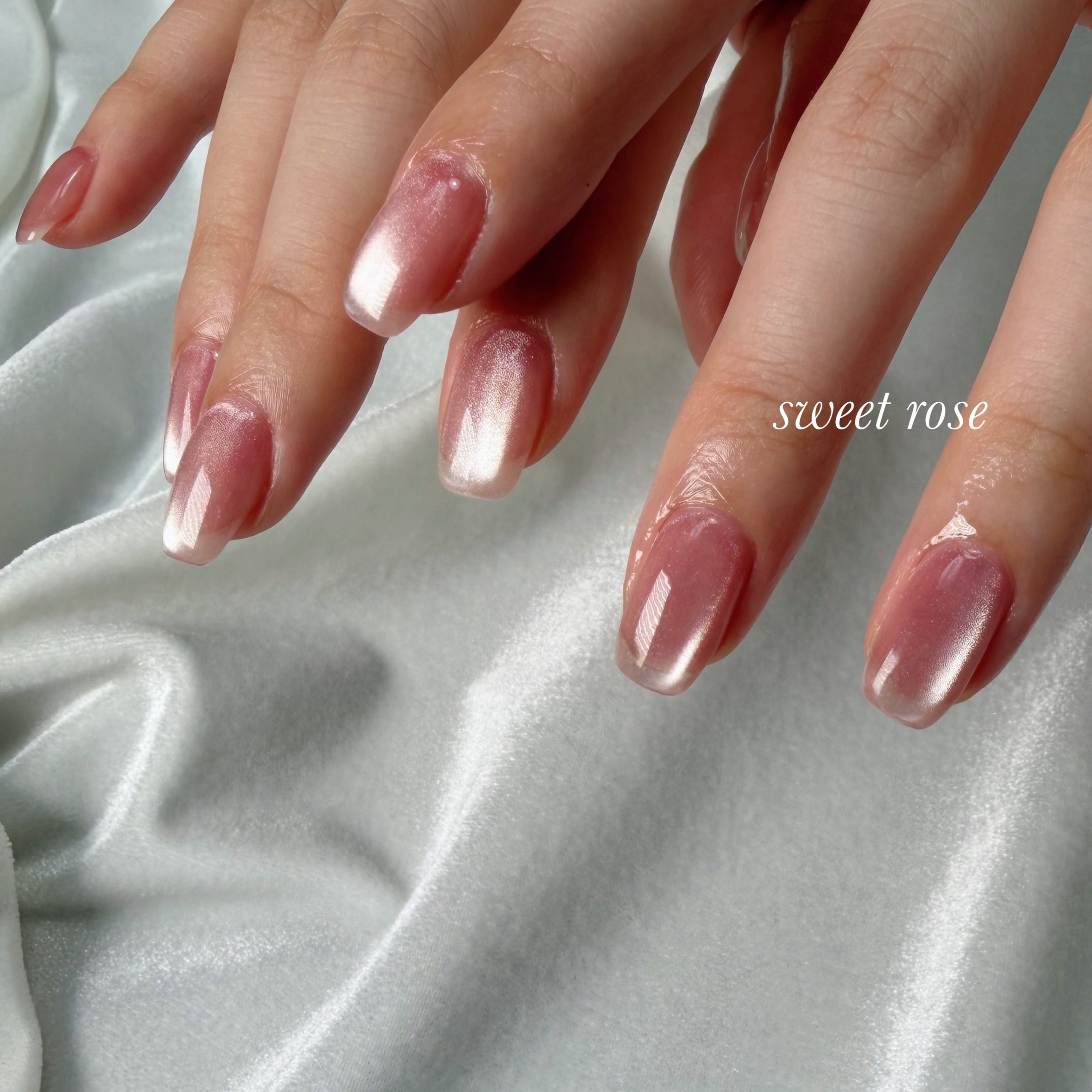 sweet_rose