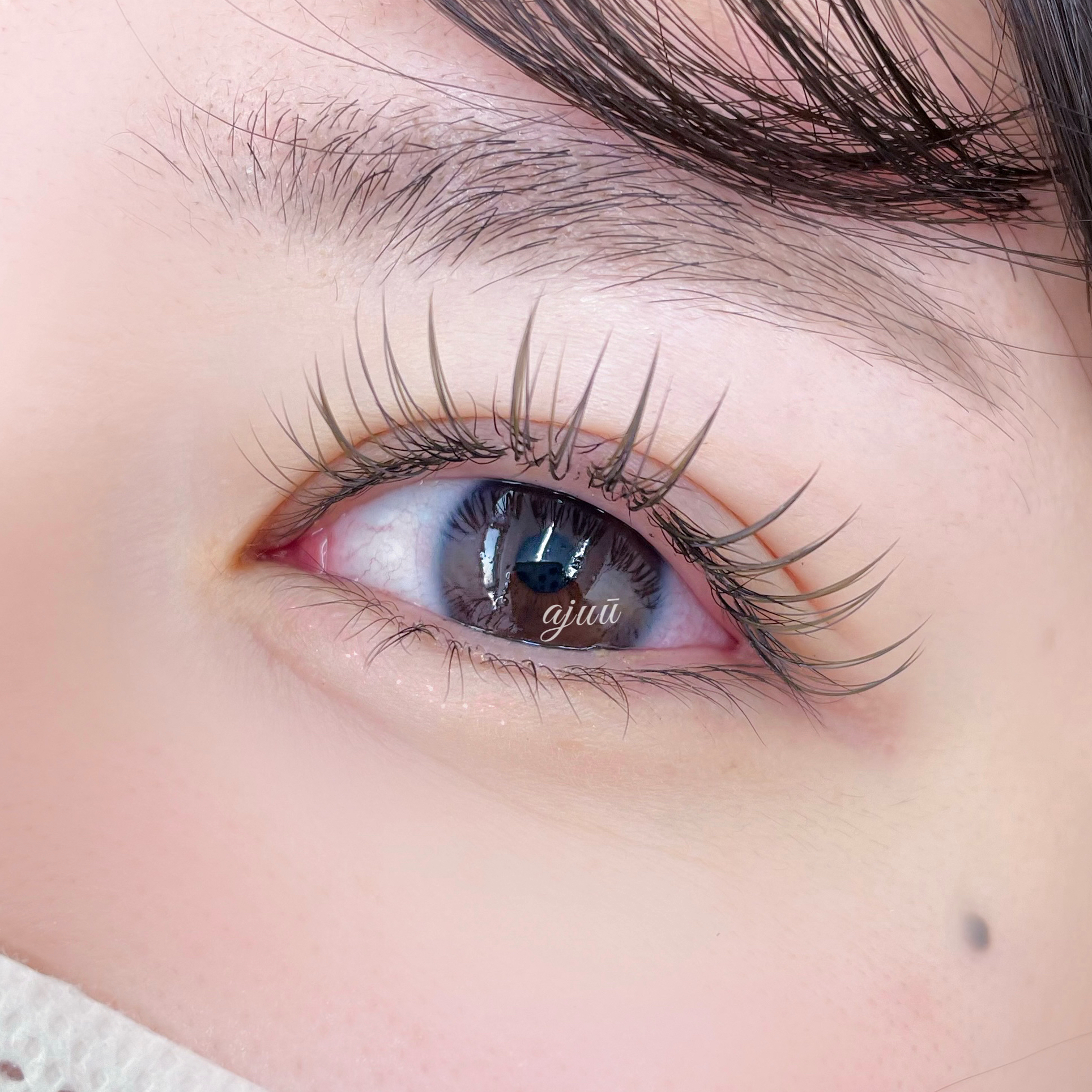 midori_eyelash