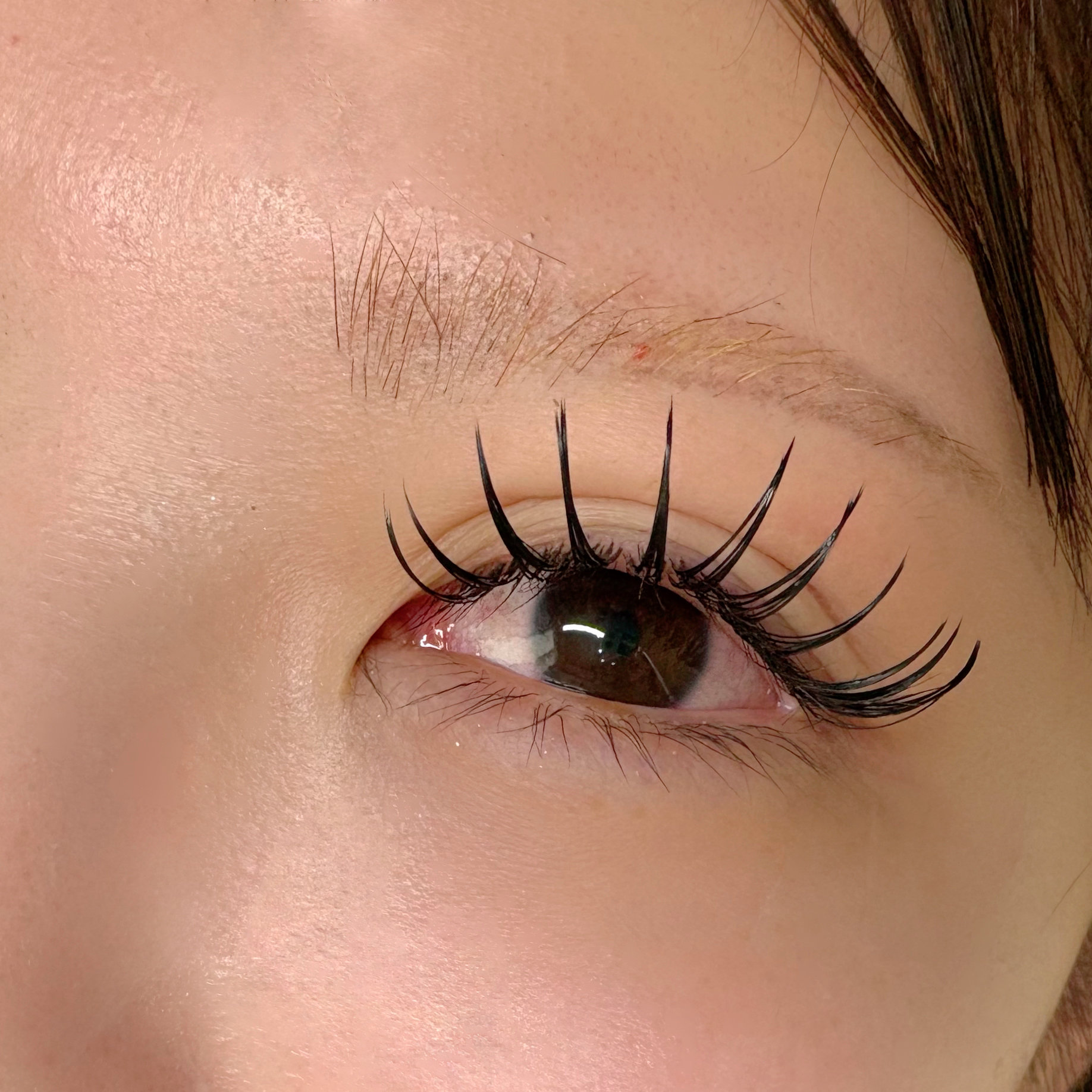 eyelashes_idumi