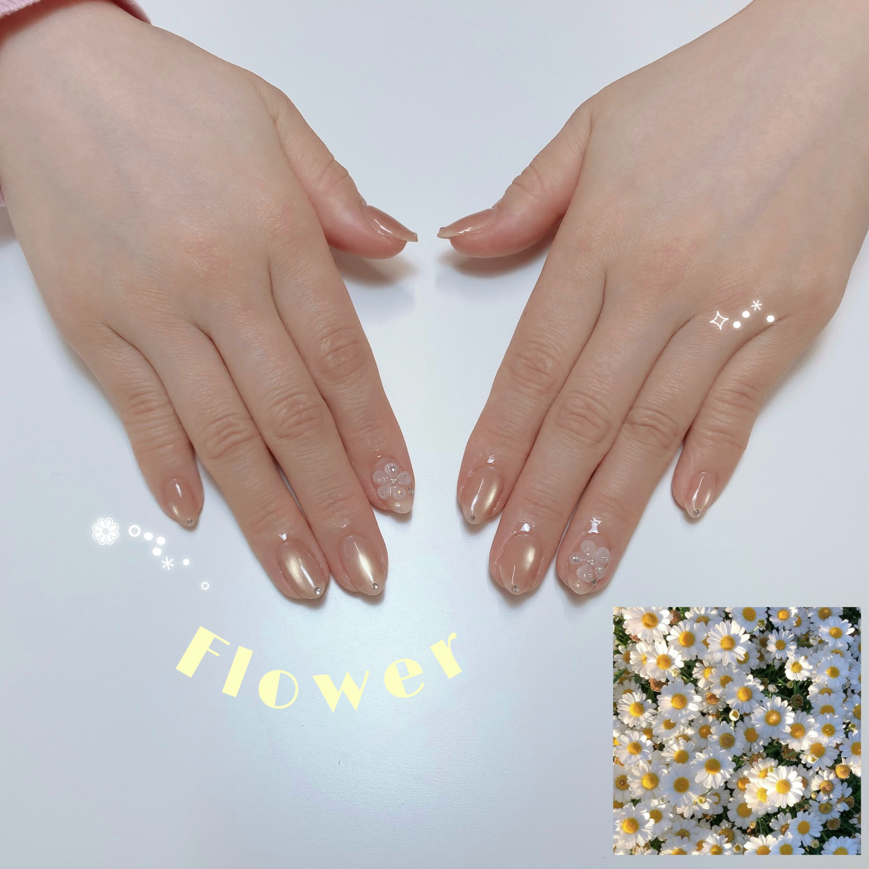 nail_asa.gifu