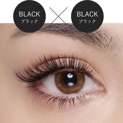 Wフラットorバインドロック100束