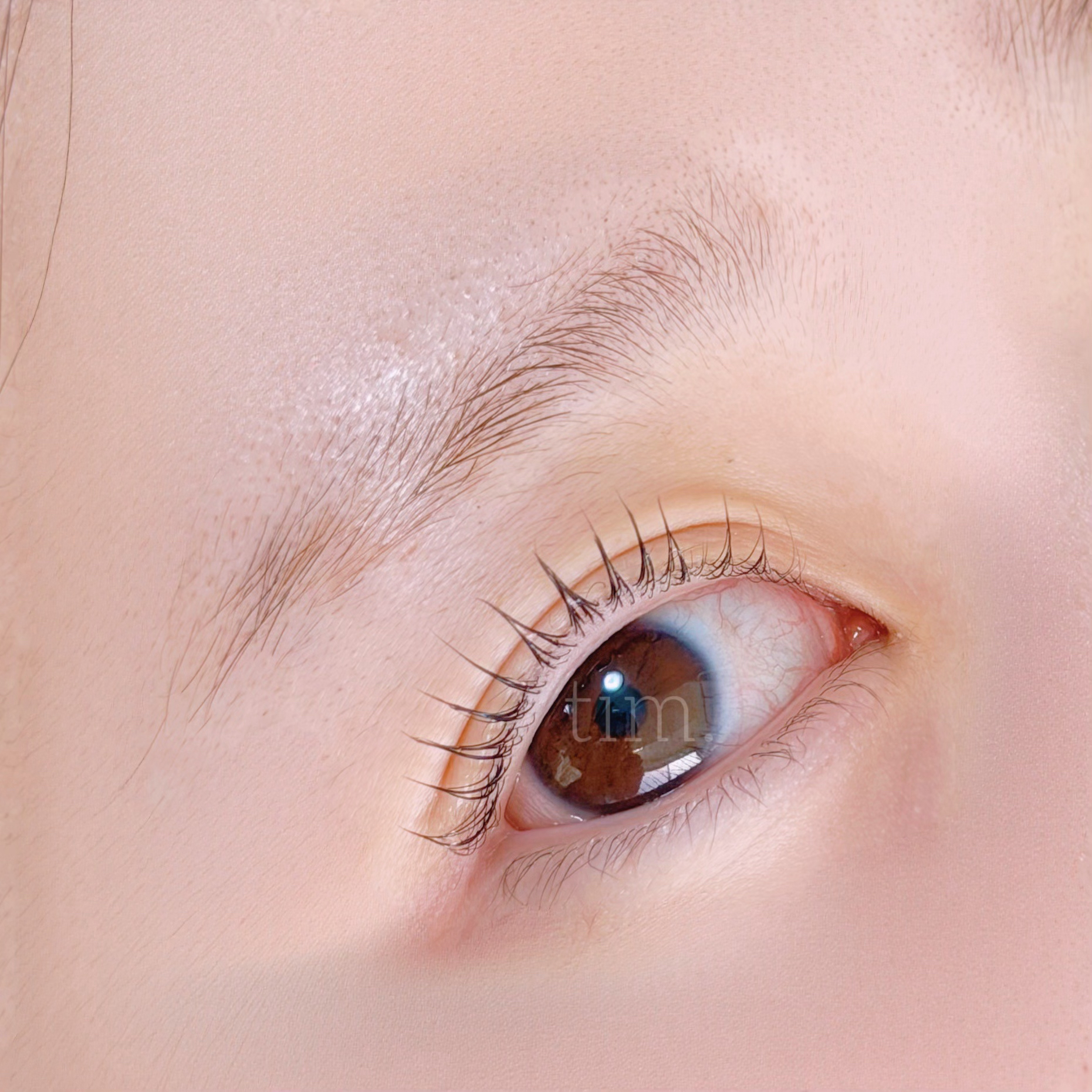 tim.eye