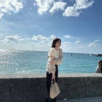lino_saki