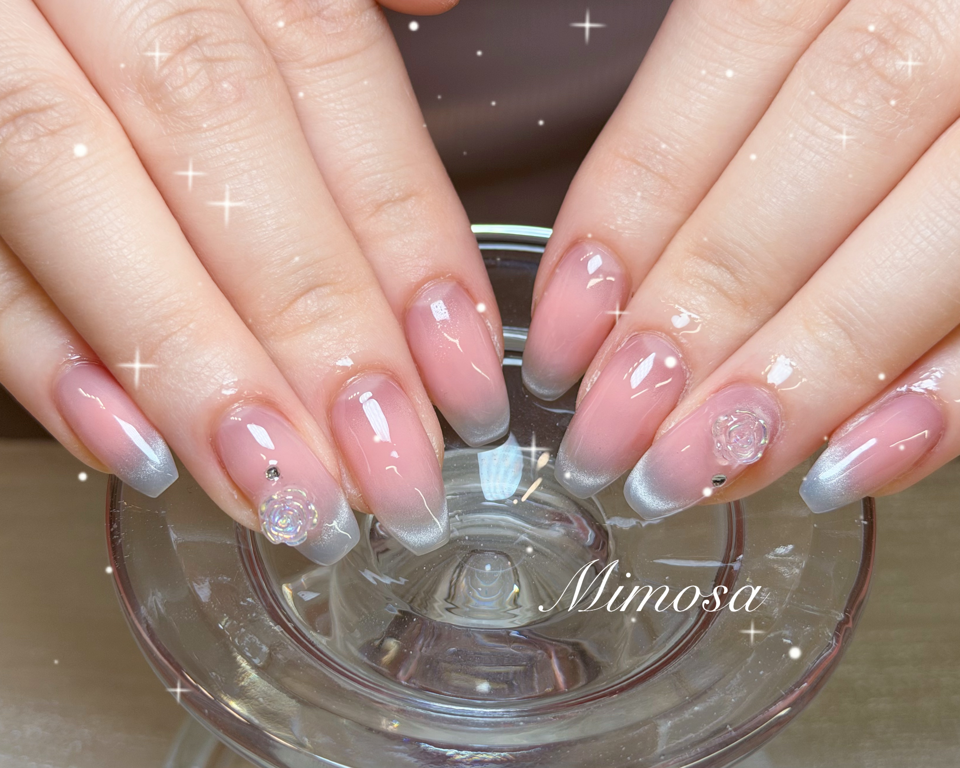 mimosa_kichijoji