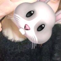 pomme_6