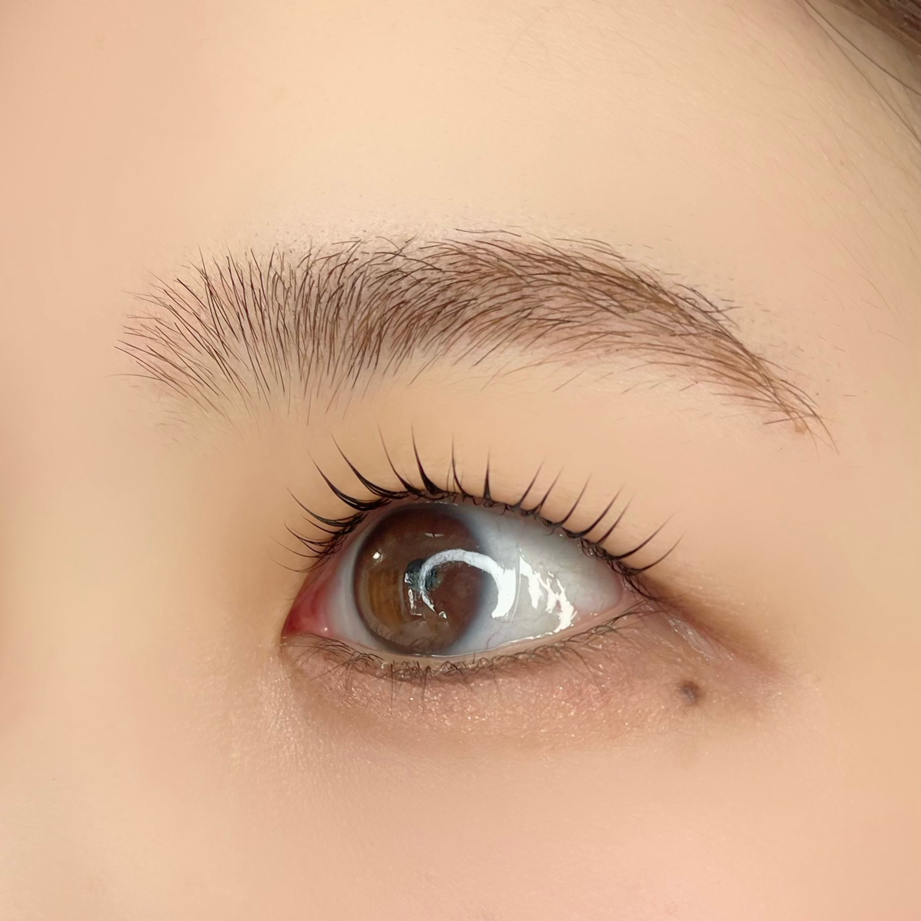 comfy.eye
