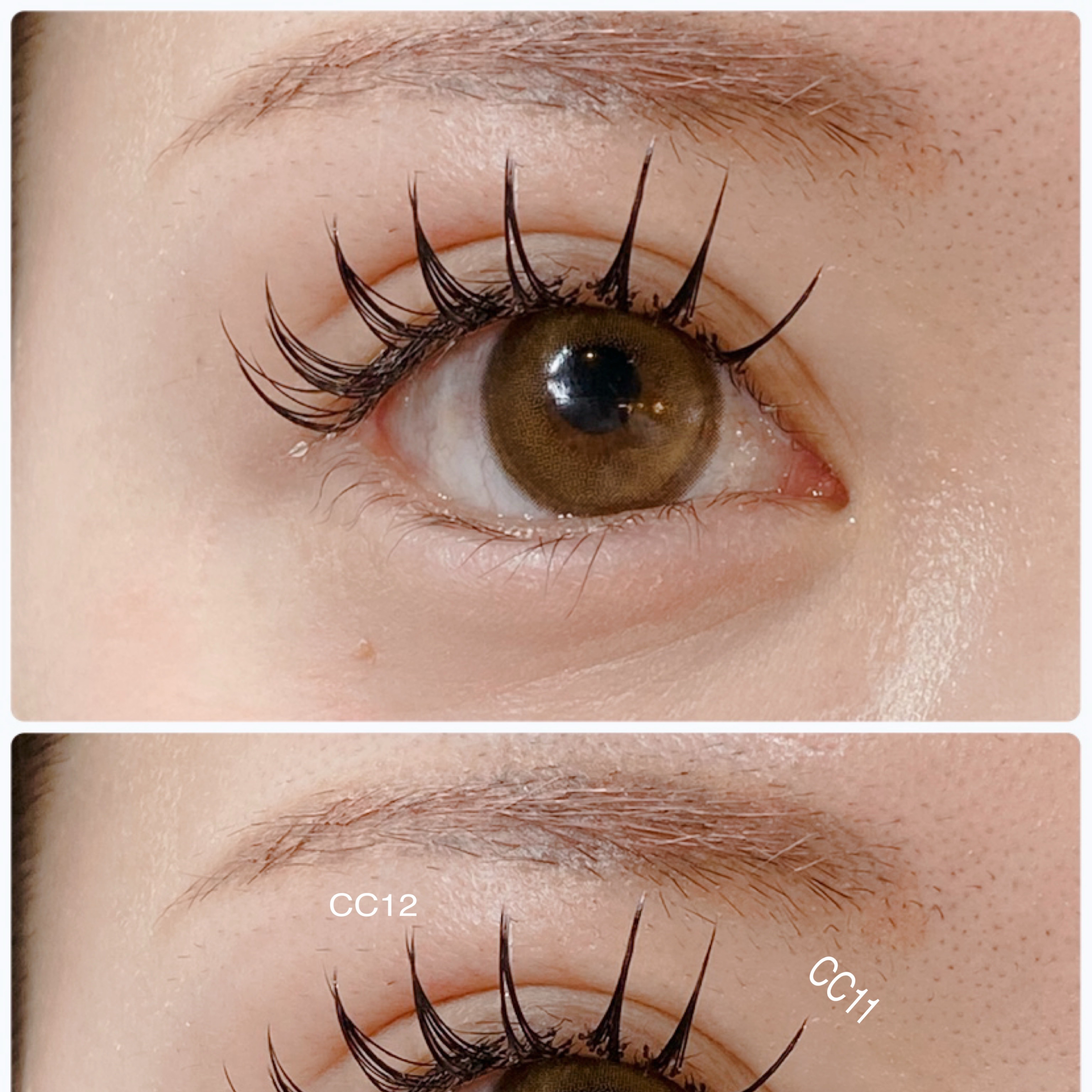 eyelash.ayumi