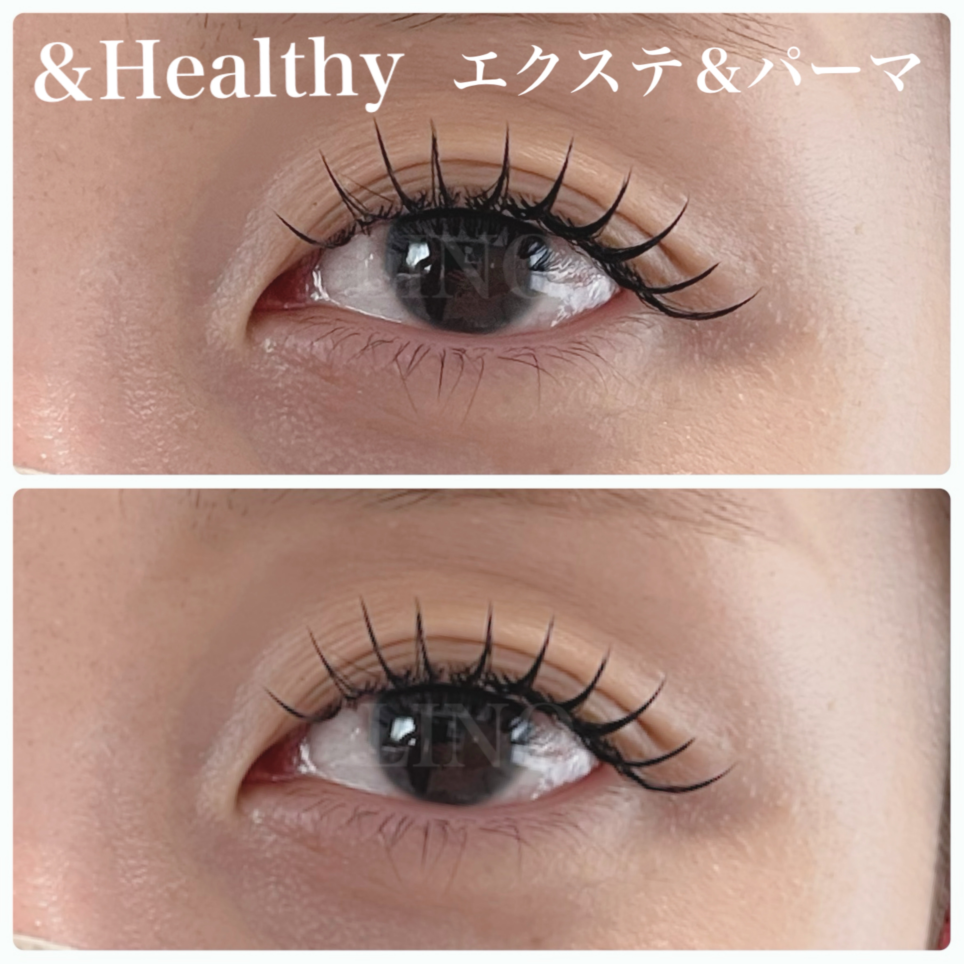 LINO_eyelash.