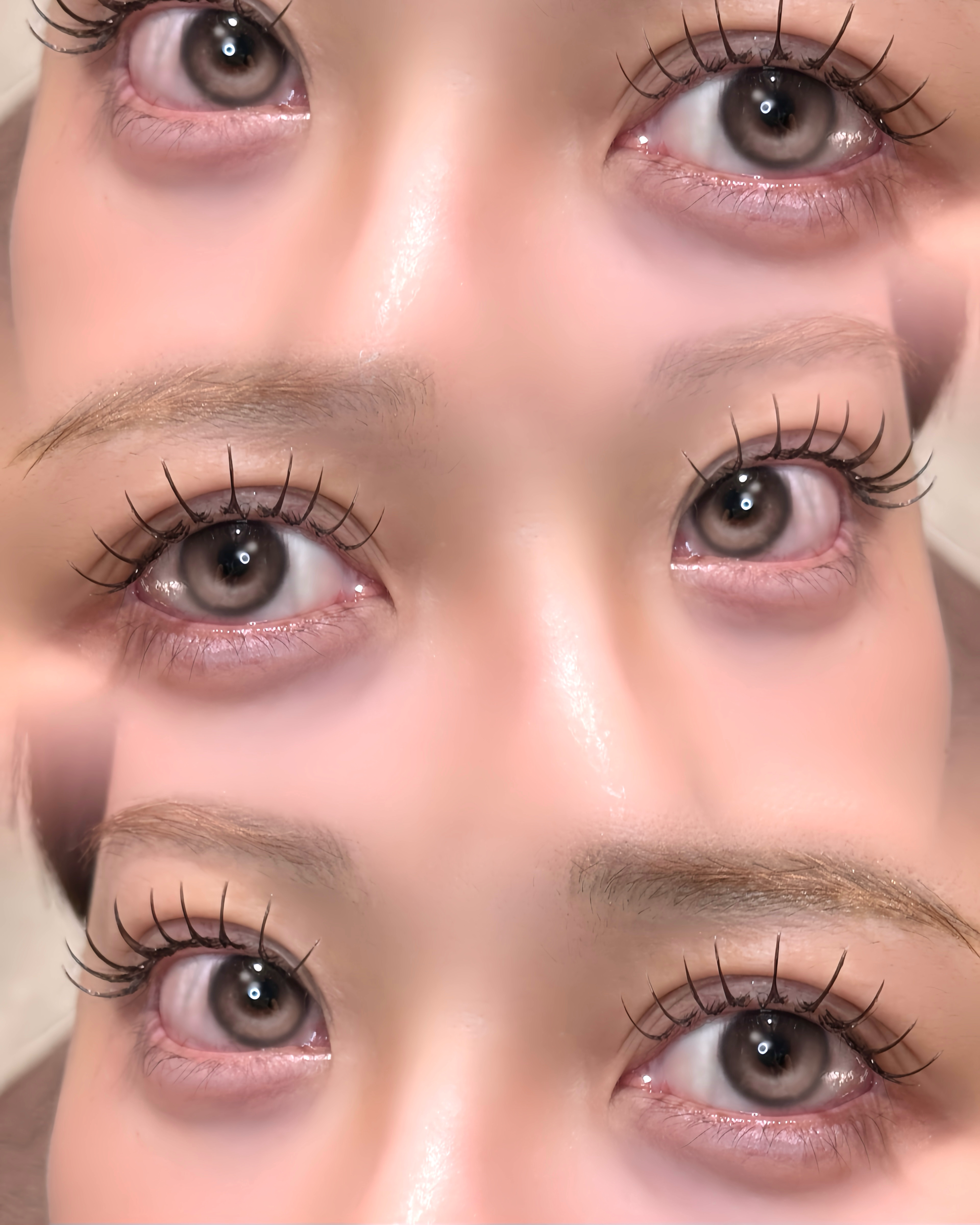 eyelash_mochan
