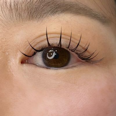 LEDエクステ🤍人気メニュー🌼Wフラット80束