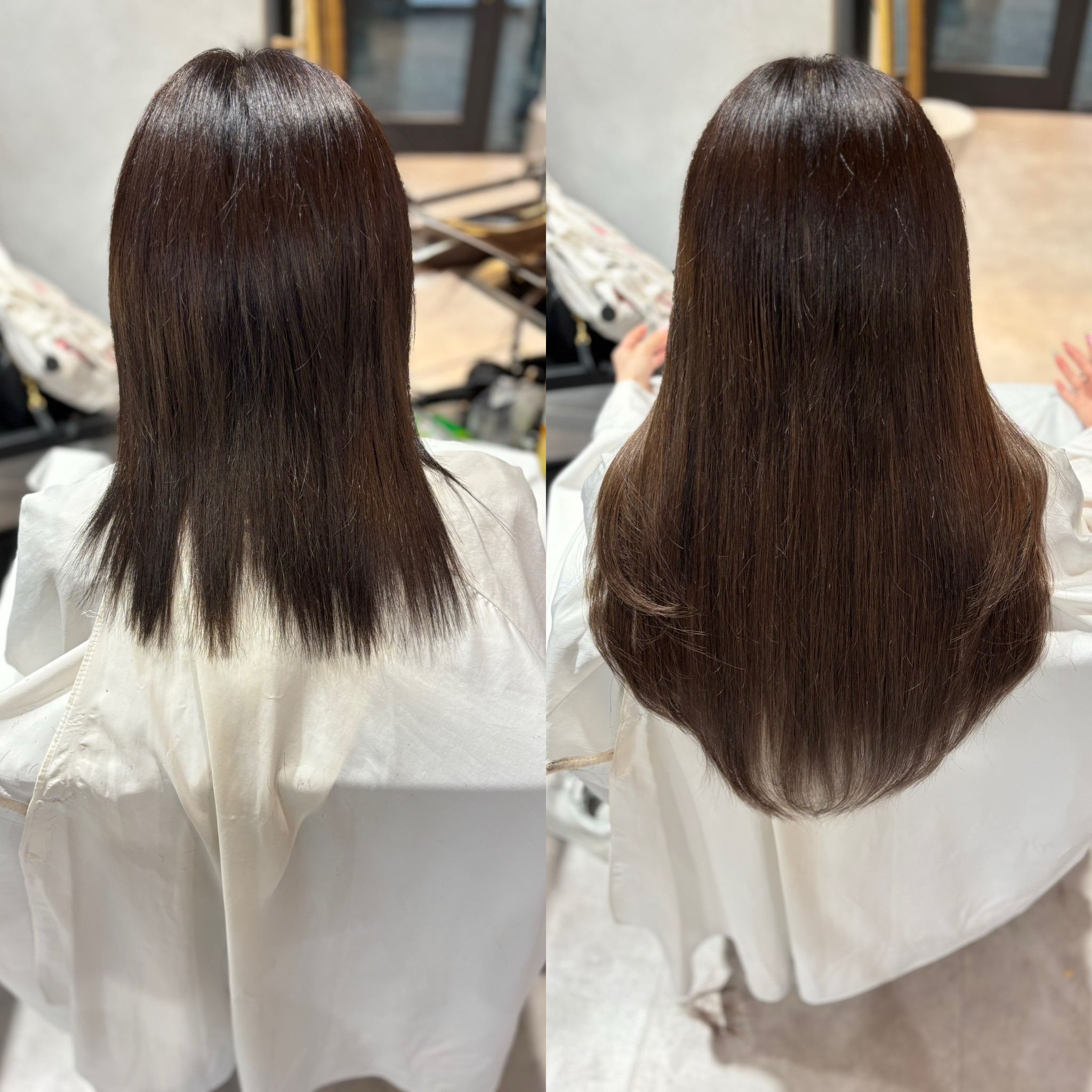 FERNA_yuki