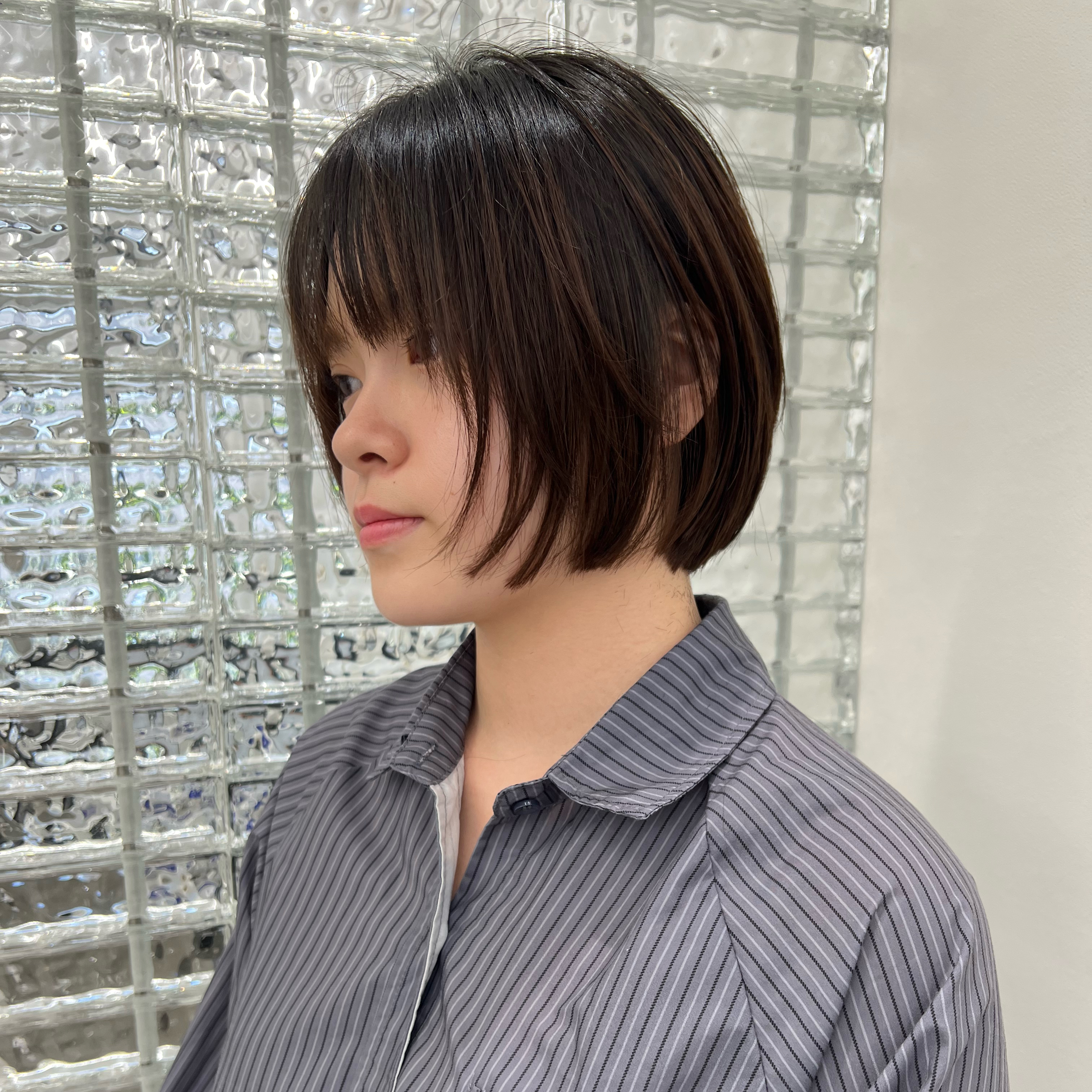 ill_dobashi