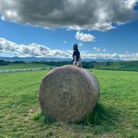 _minaile_