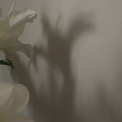 お持ち込み5本アート