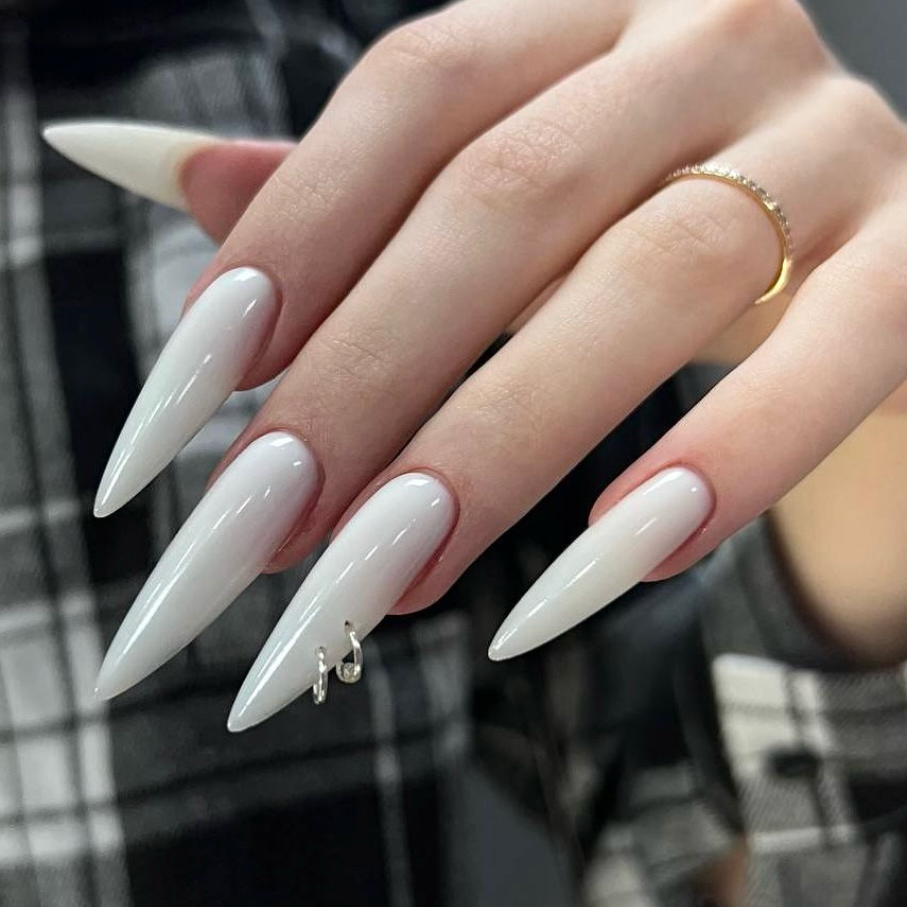 sully_naillab26