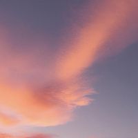 ayapants_1116