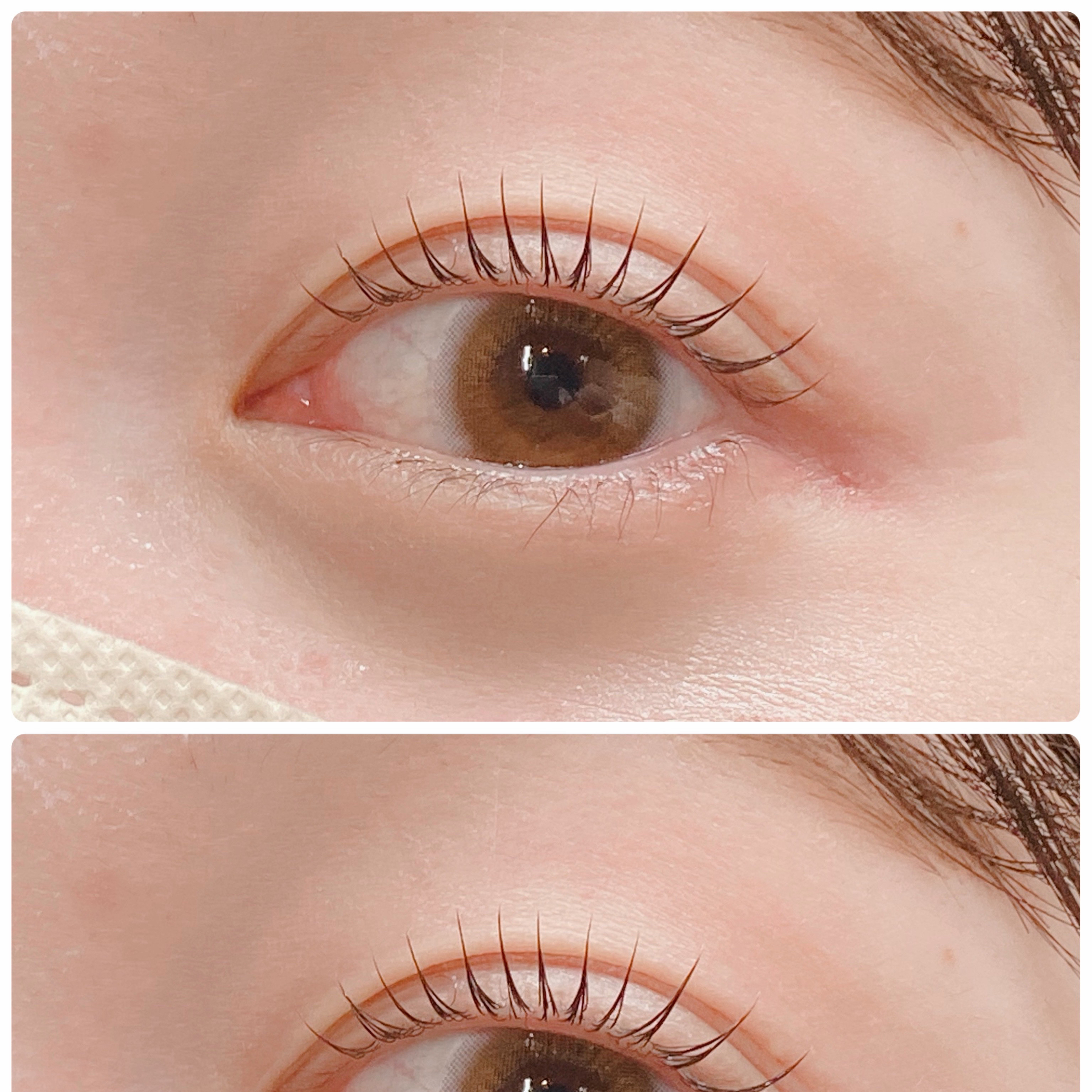 eyelash.ayumi