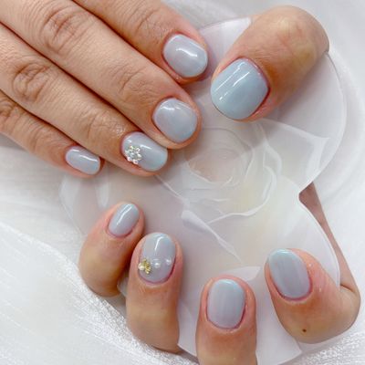 ワンカラー(スチューデントメニュー)