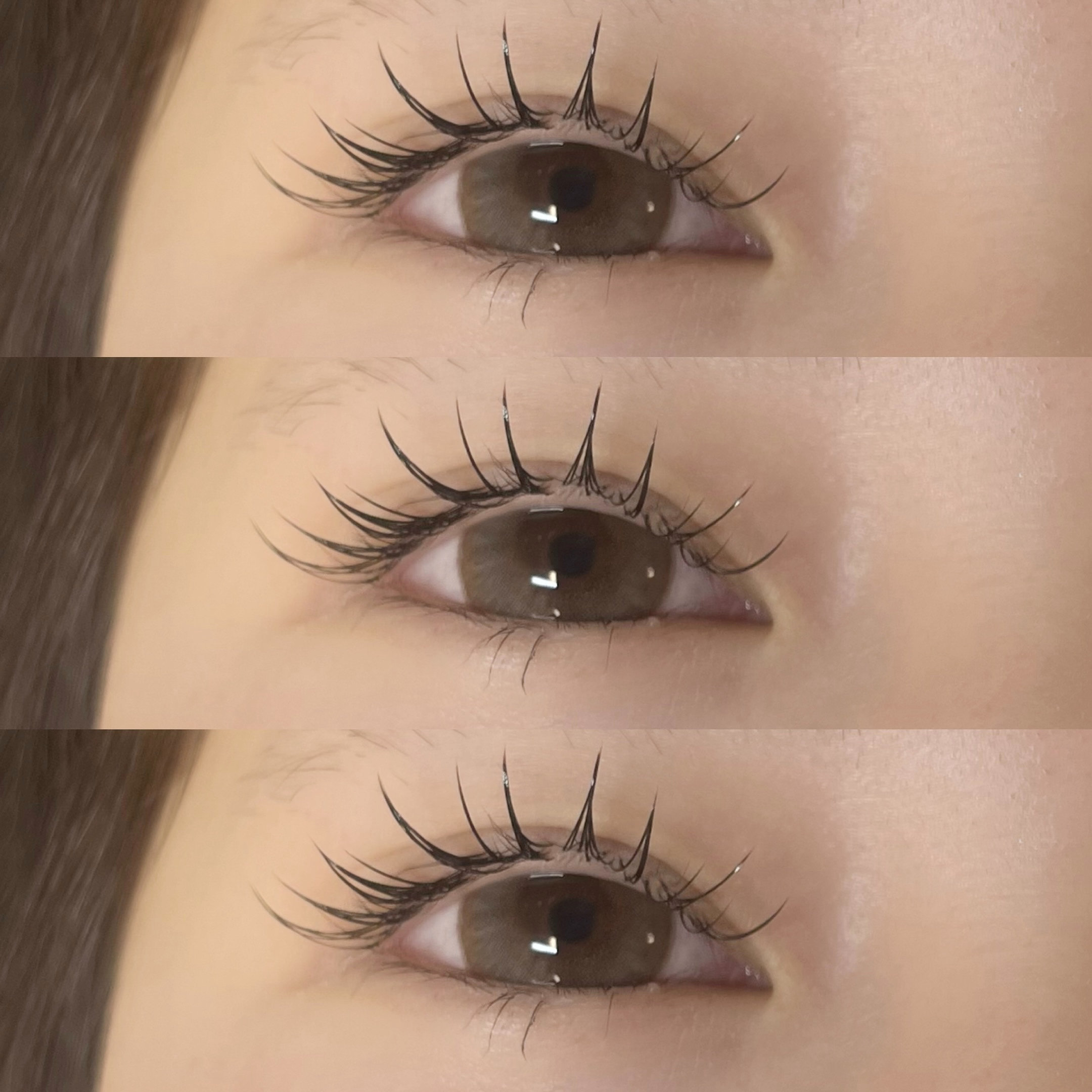 himawari_trueye