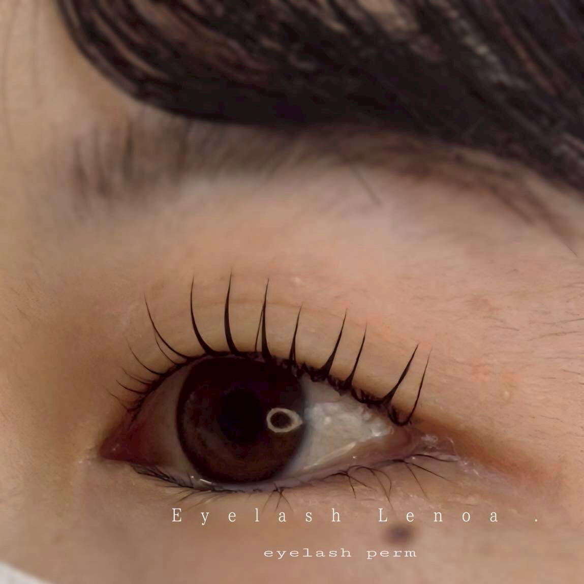 lenoa_eyelash