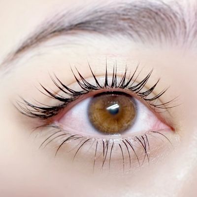 フラットラッシュ100本　6,500〜