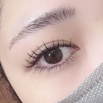 毎朝楽に♪フラットラッシュ120本+アイブロウWAX