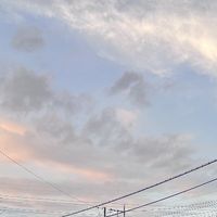 ozaki_146
