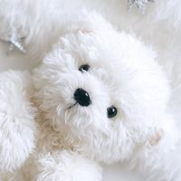 bu_ucha_n.194