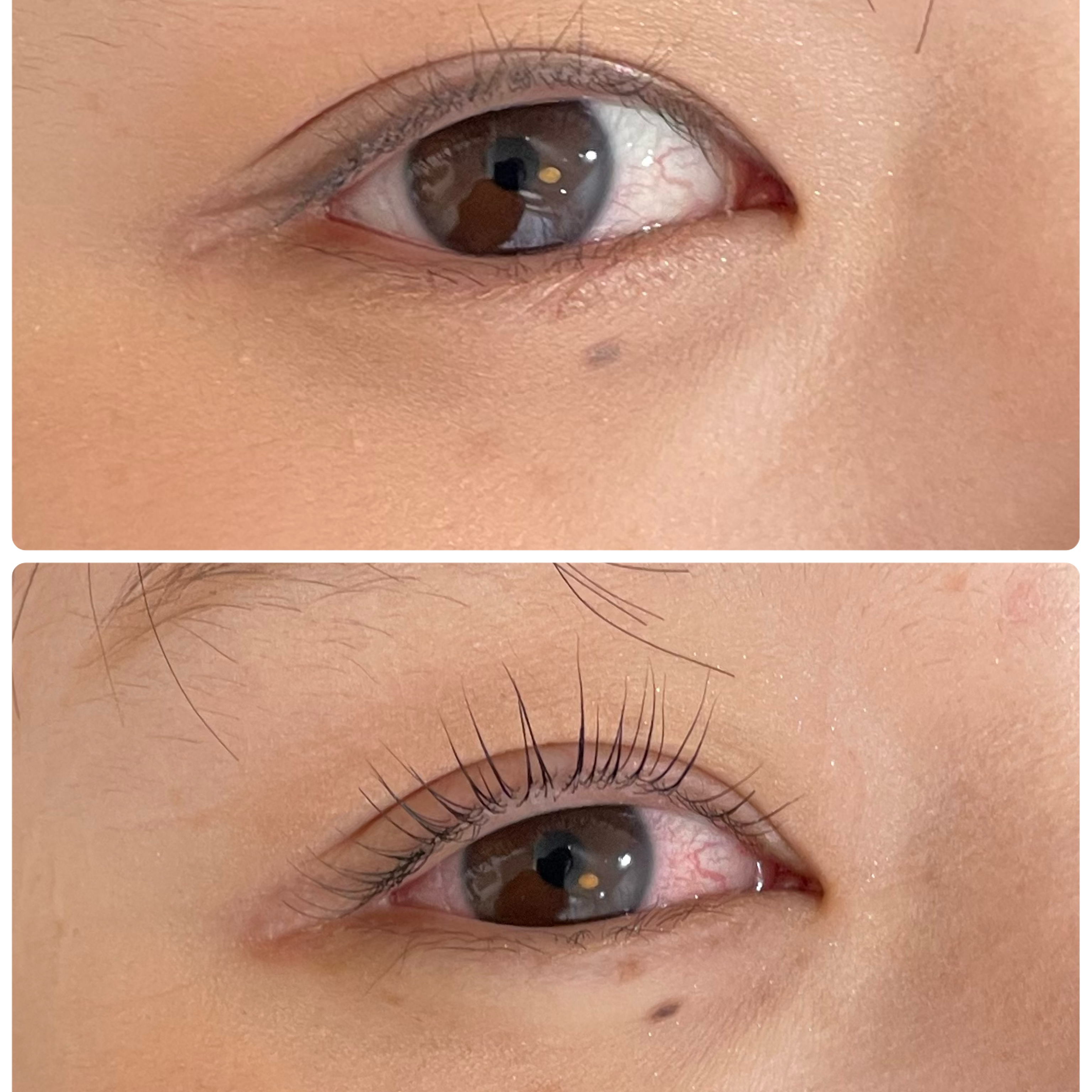 eyelash_by_rim