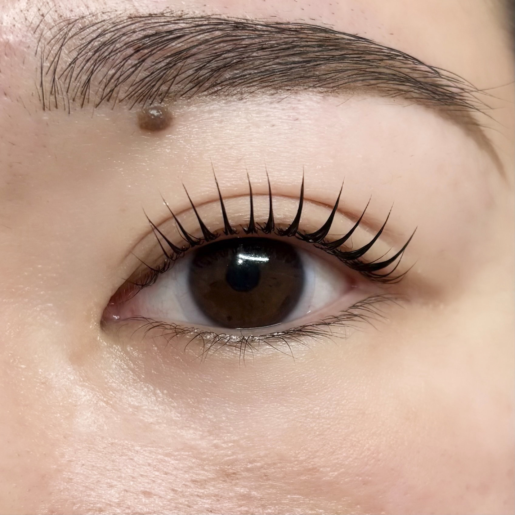 seika_eyelash