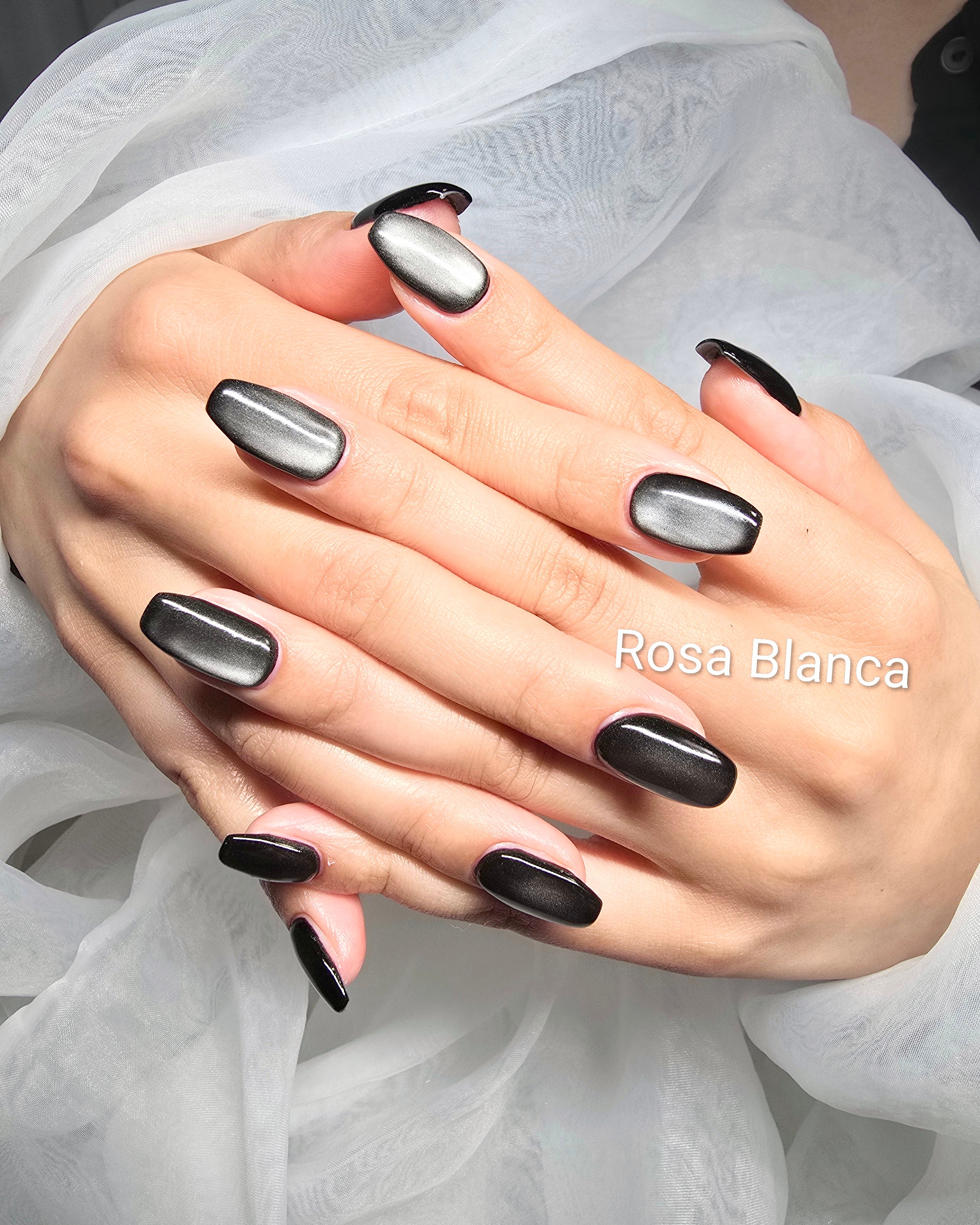 Rosa_Blanca