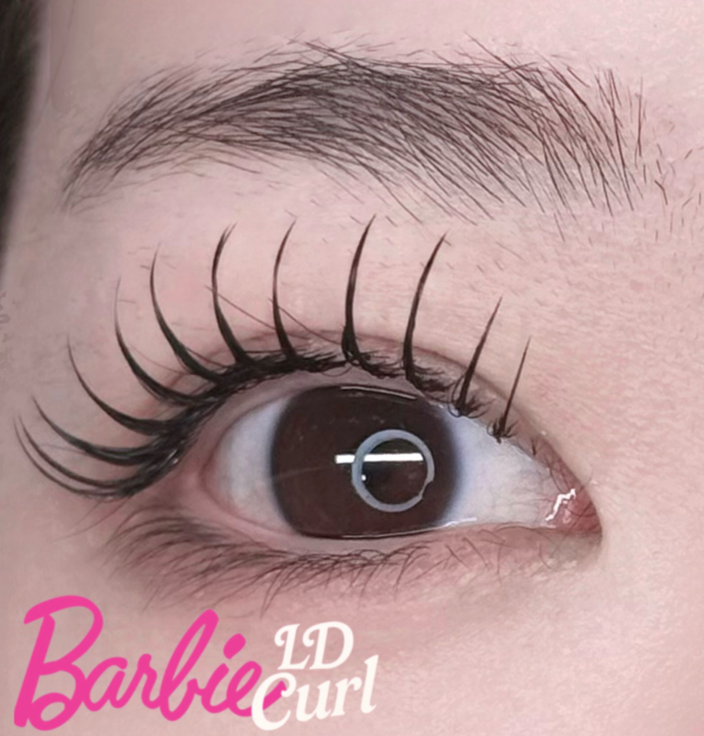 enchante_eyelash