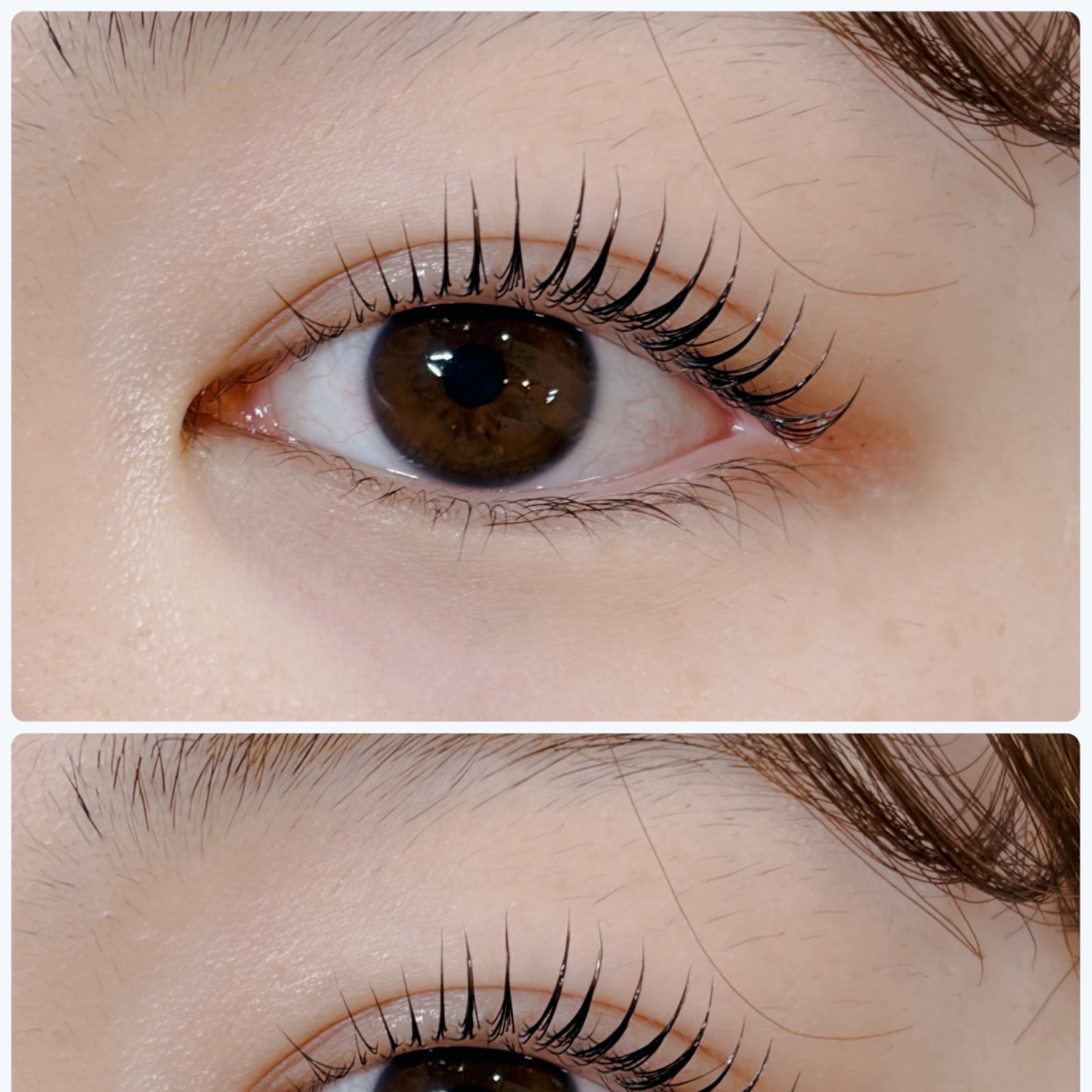 eyelash.ayumi