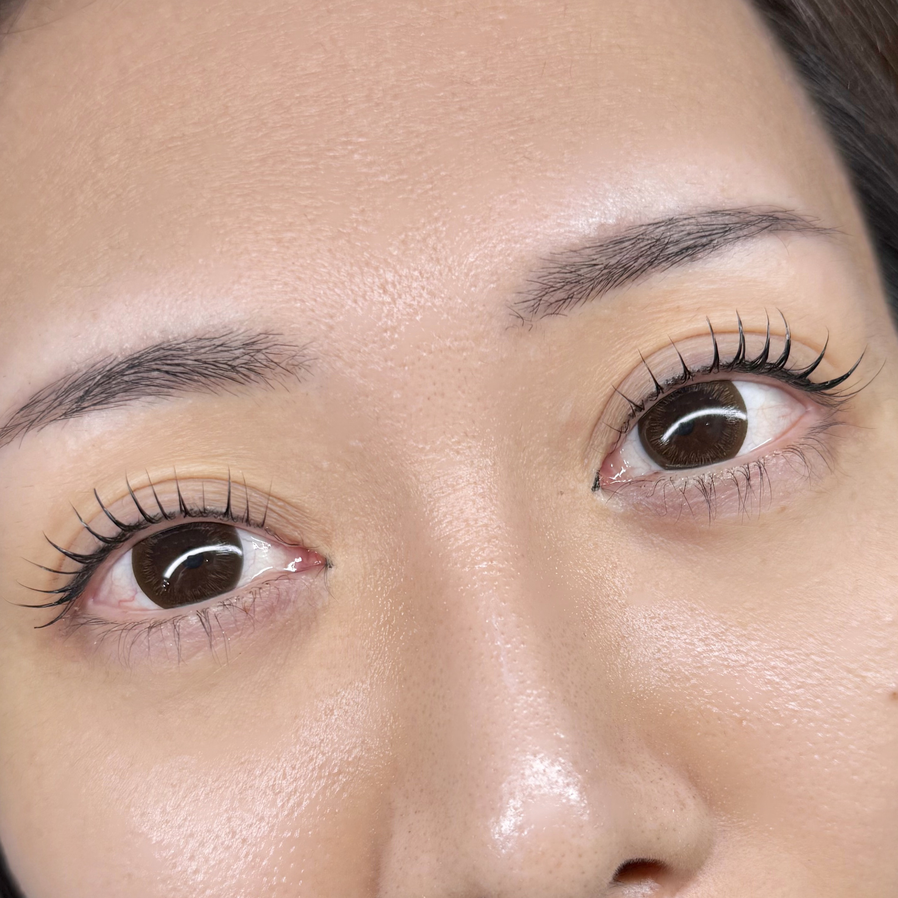 linoa.eyelash__