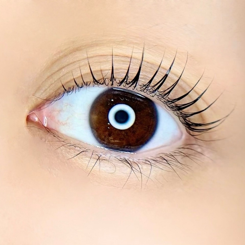 eyelist_kinjou