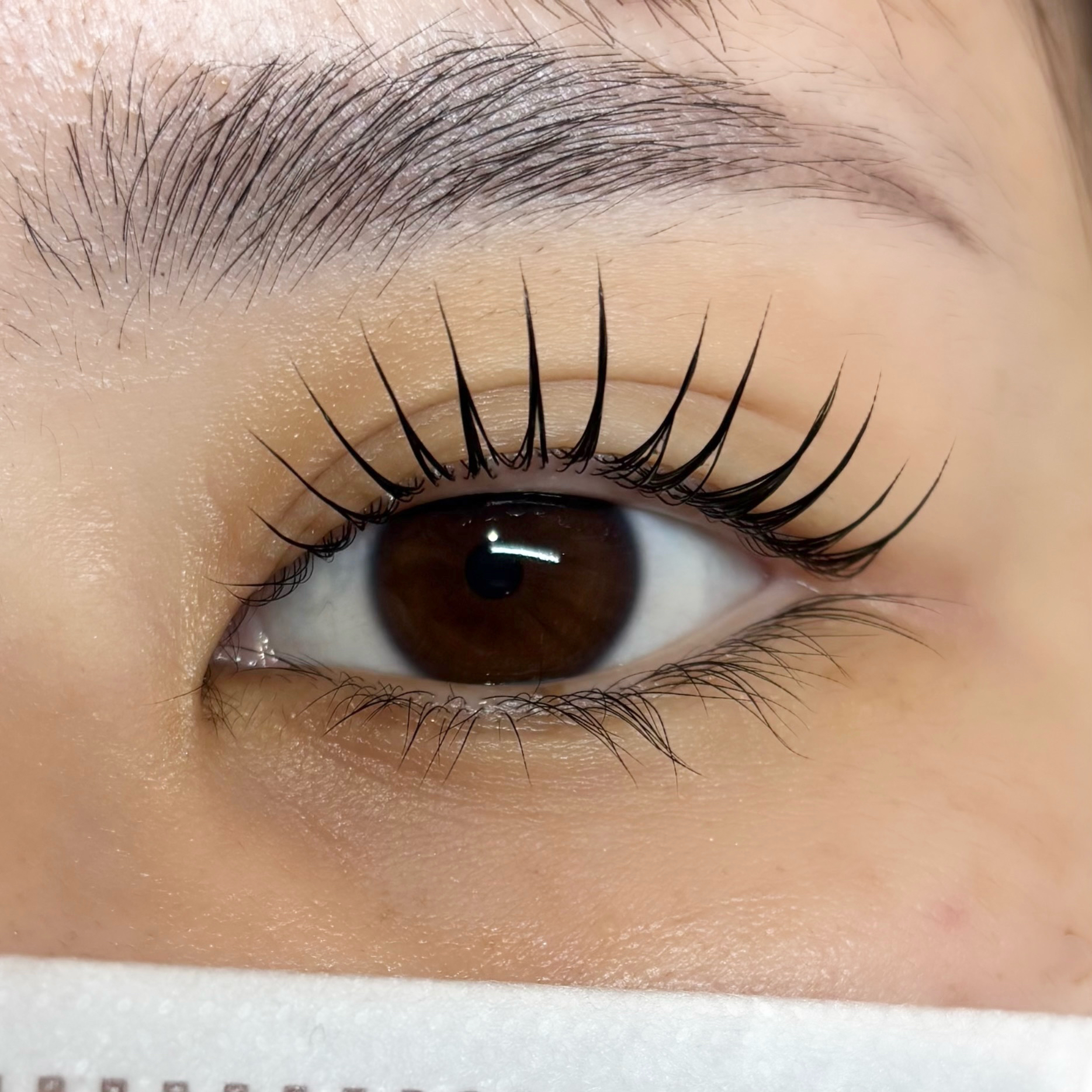 seika_eyelash