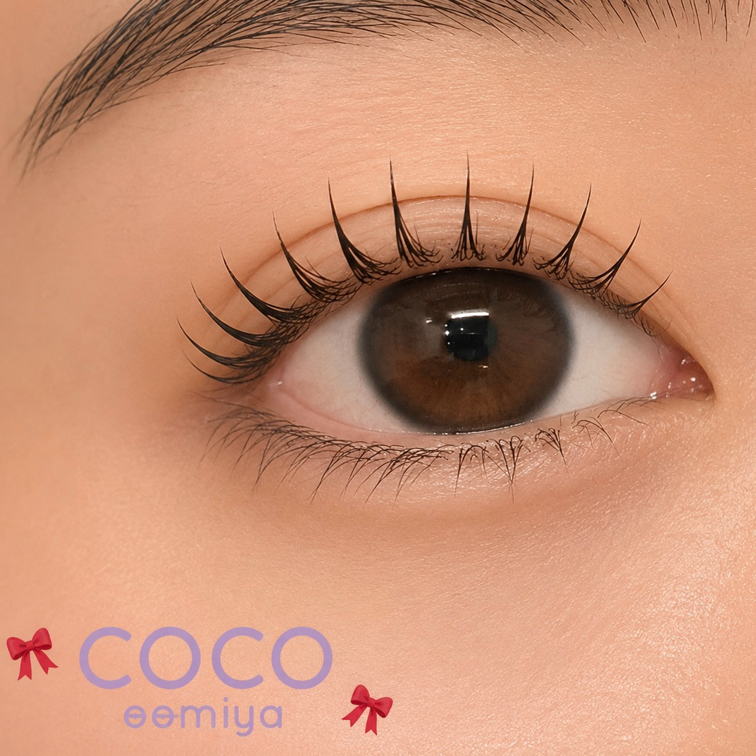 coco_shizuku