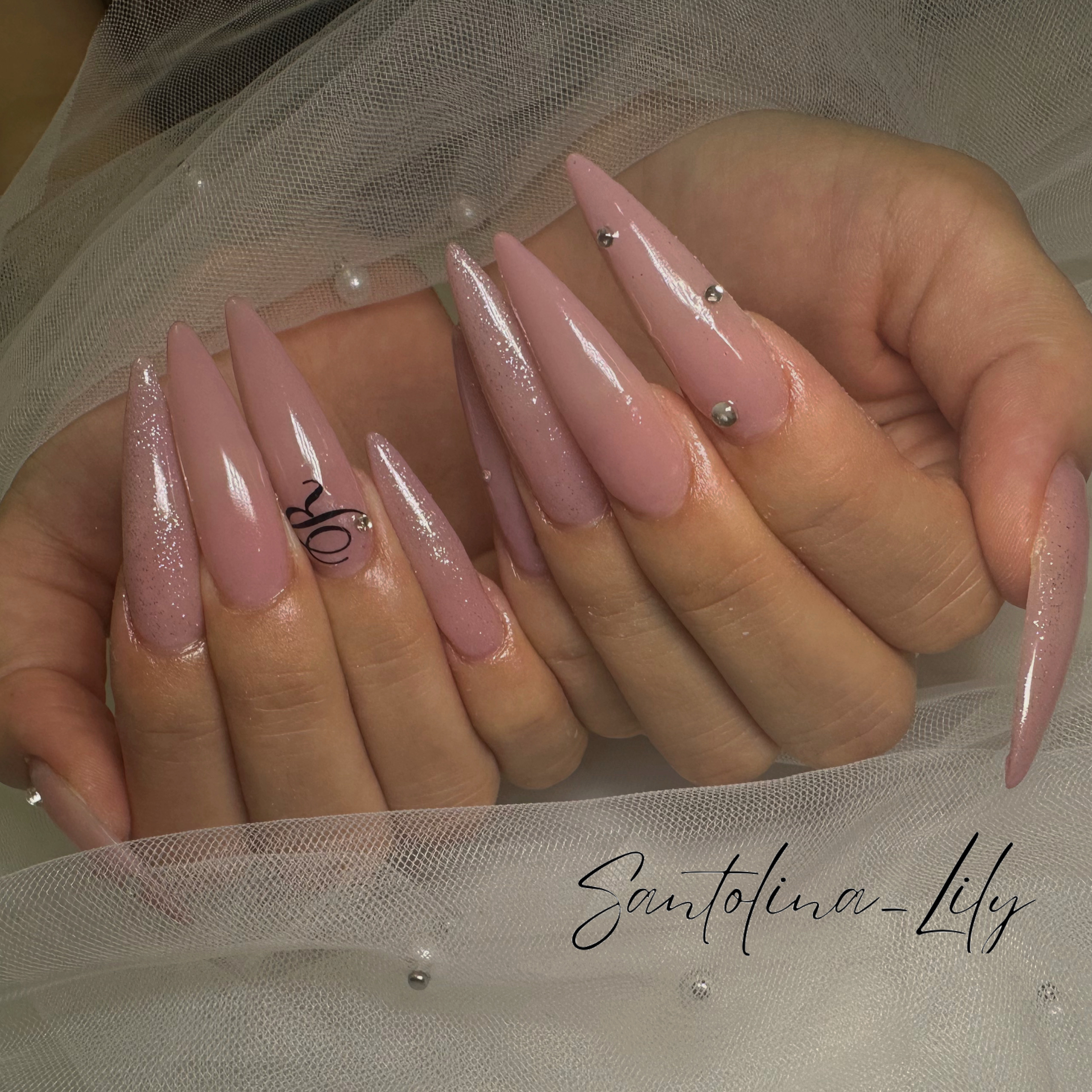 Santolina_Lily